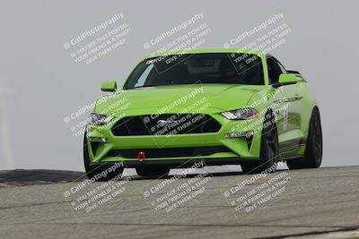 media/Nov-21-2025-Audi Club (Fri) [[8110d52e1e]]/Open Track Photos/3 Grapevine/